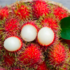 Estratto di rambutan - Idealica Ingredienti